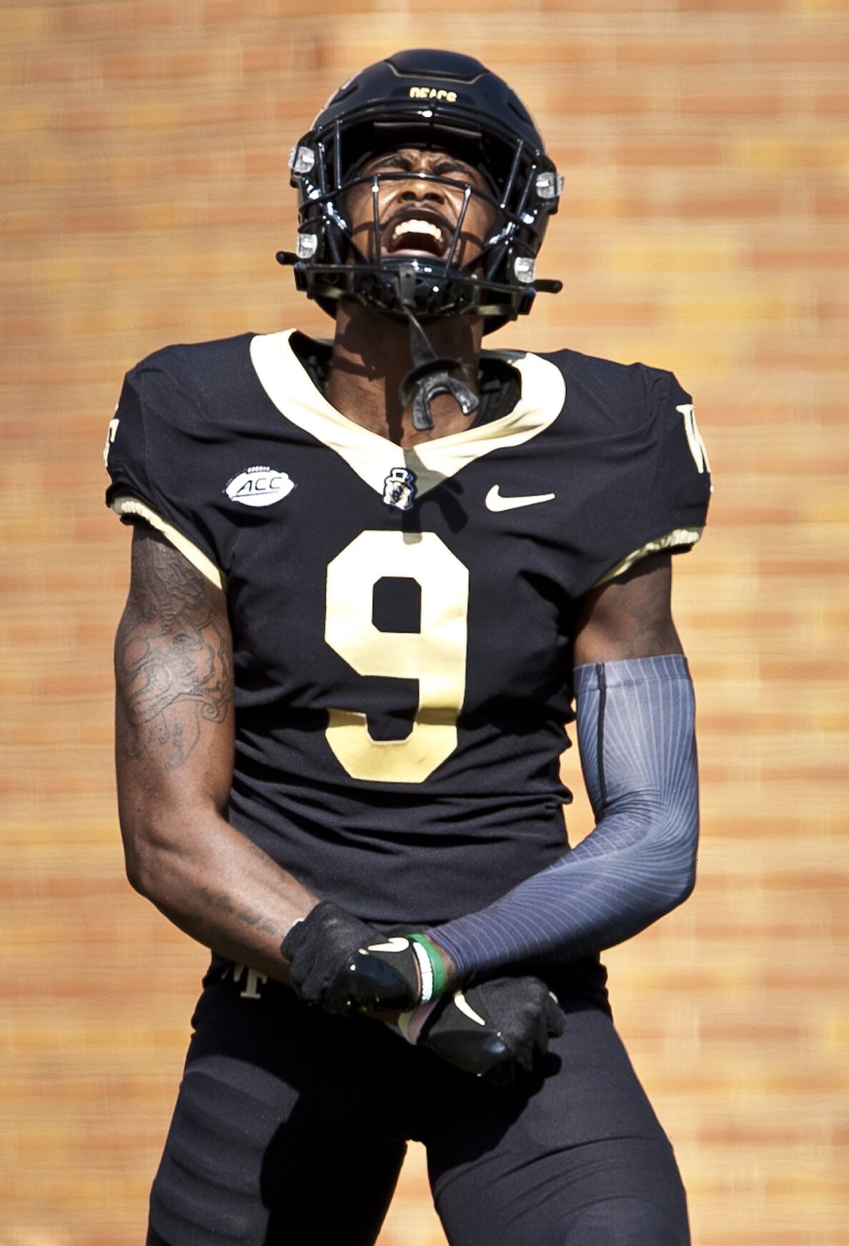 Florida State Wake Forest football